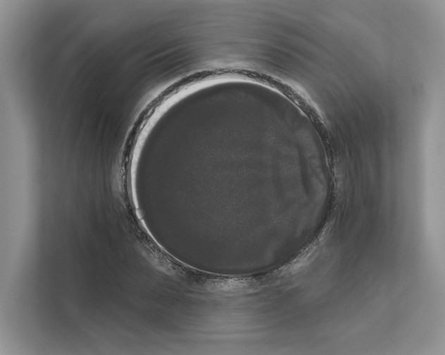 X0000111020879200907310929