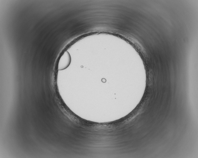 X0000111020880200907310929