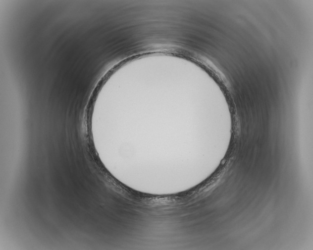 X0000111020883200907310929