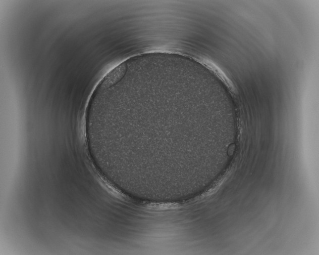 X0000111020884200907310929