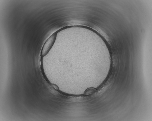 X0000111020885200907310929