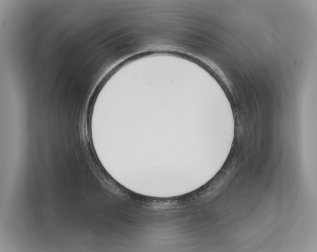 X0000111020887200907310929