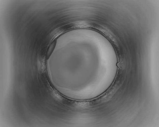 X0000111020889200907310929