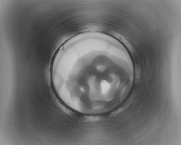 X0000111020890200907310929