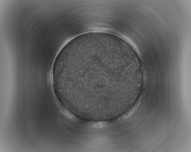 X0000111020891200907310929