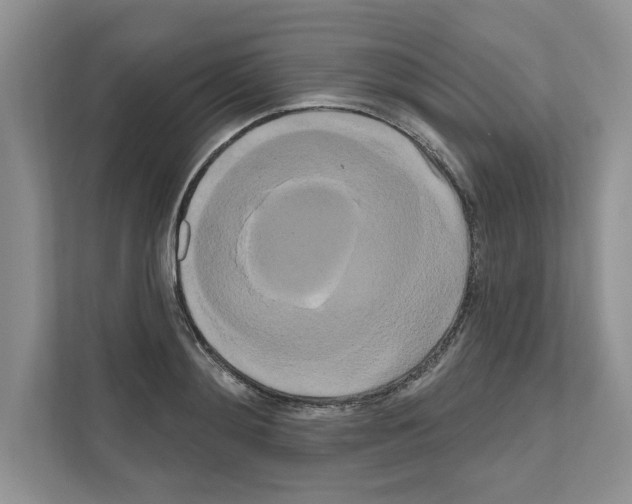 X0000111020892200907310929