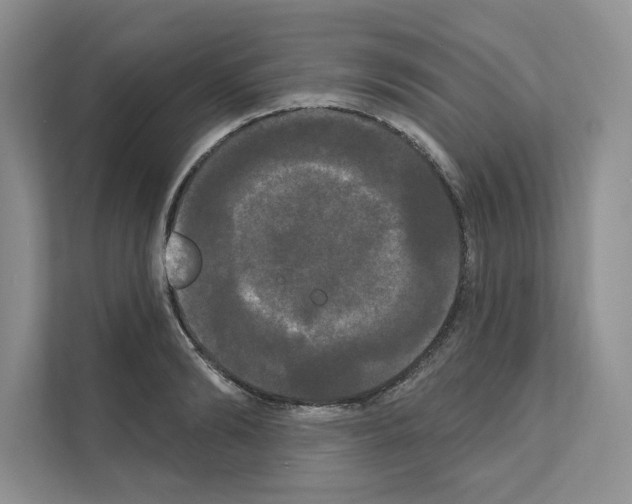 X0000111020894200907310929