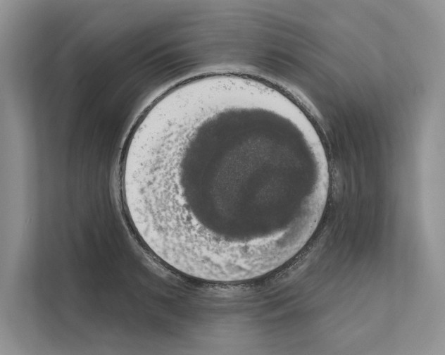 X0000111020895200907310929