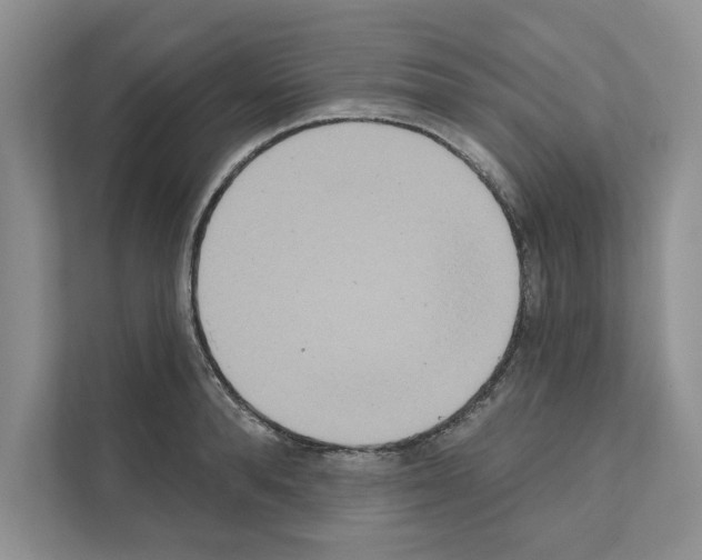 X0000111020896200907310929