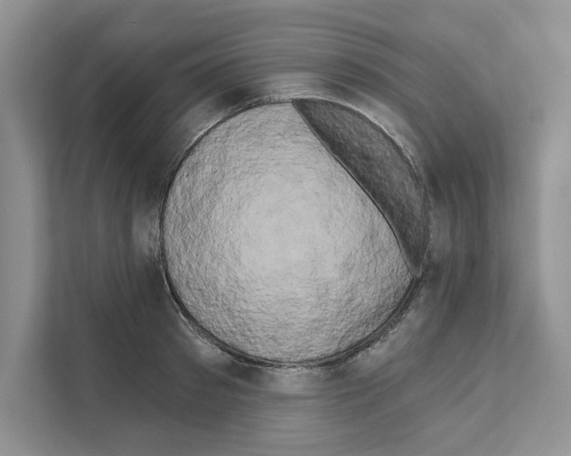 X0000111020897200907310929