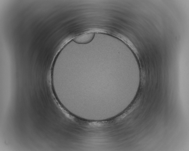 X0000111020898200907310929