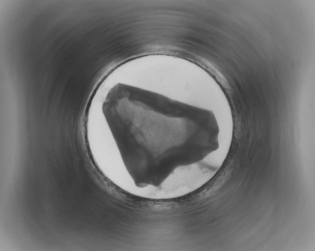 X0000111020899200907310929