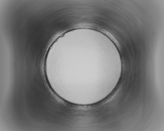 X0000111020901200907310929
