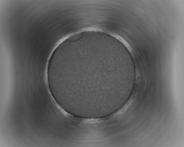 X0000111020902200907310929