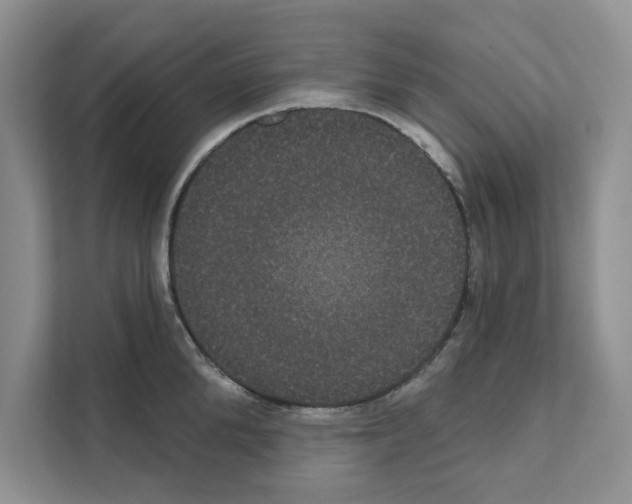 X0000111020904200907310929