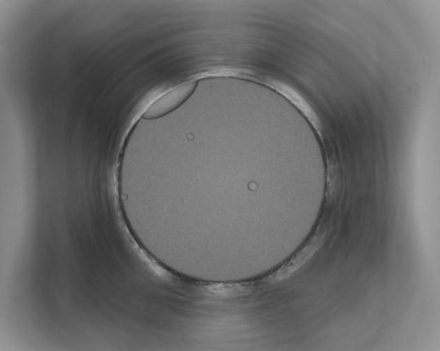 X0000111020906200907310929