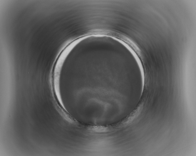X0000111020907200907310929