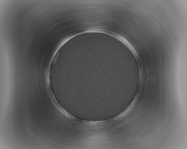 X0000111020908200907310929