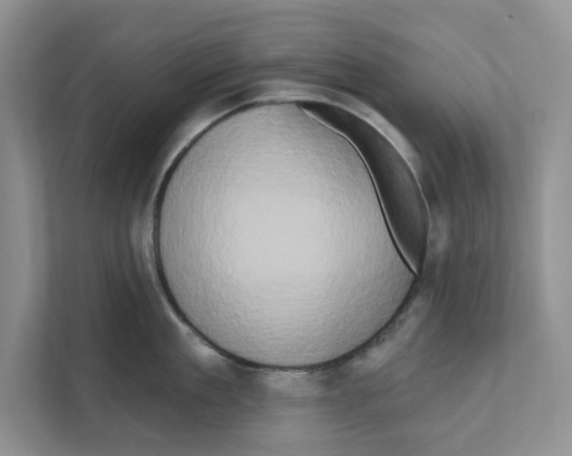 X0000111020909200907310929