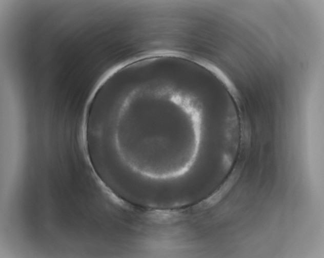 X0000111020910200907310929