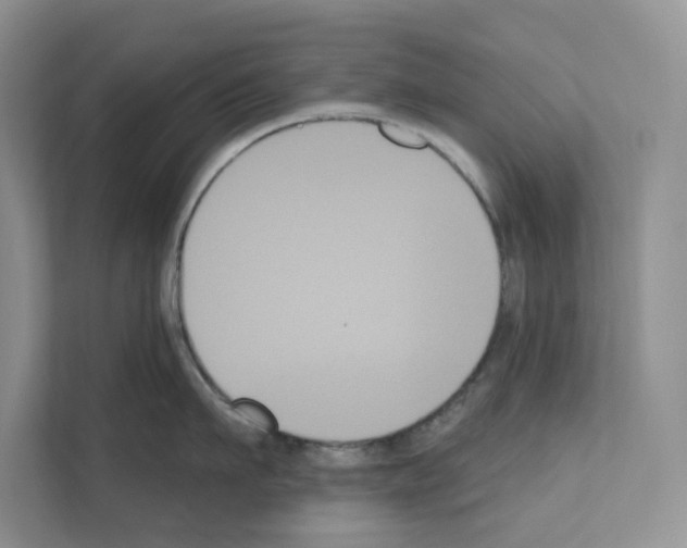 X0000111020911200907310929