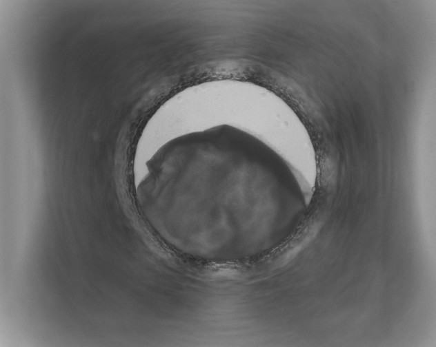 X0000111020913200907310928