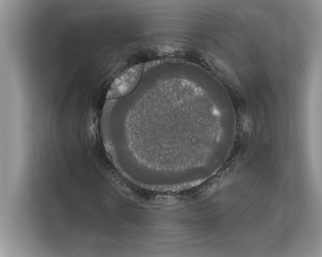 X0000111020914200907310928