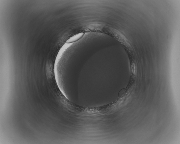 X0000111020915200907310928