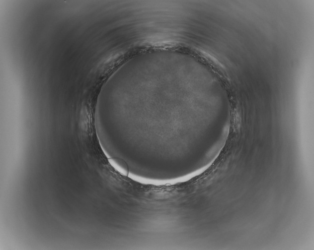 X0000111020917200907310928