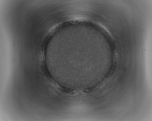 X0000111020918200907310928