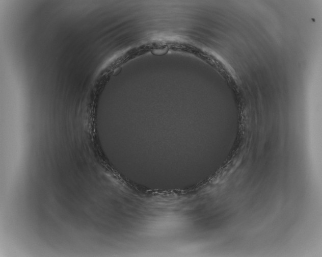 X0000111020919200907310928