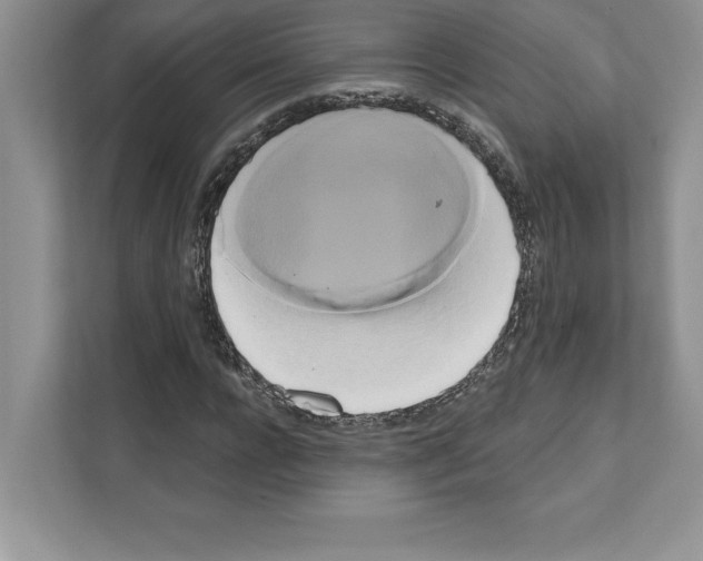 X0000111020920200907310928