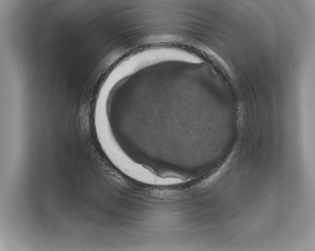 X0000111020921200907310928