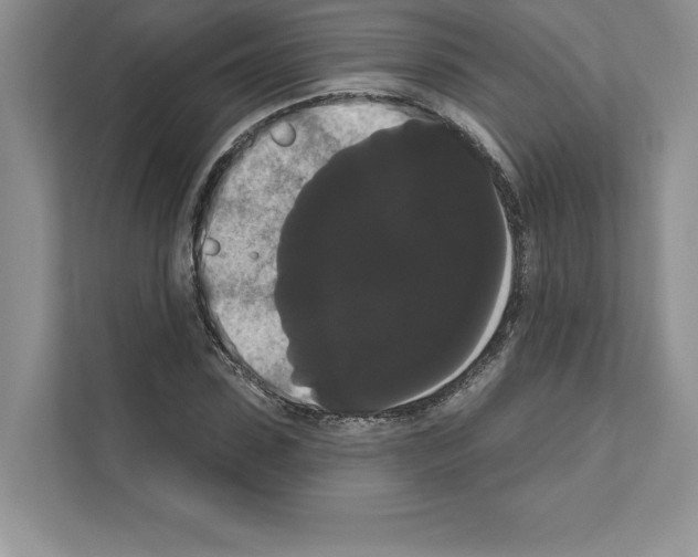 X0000111020923200907310928