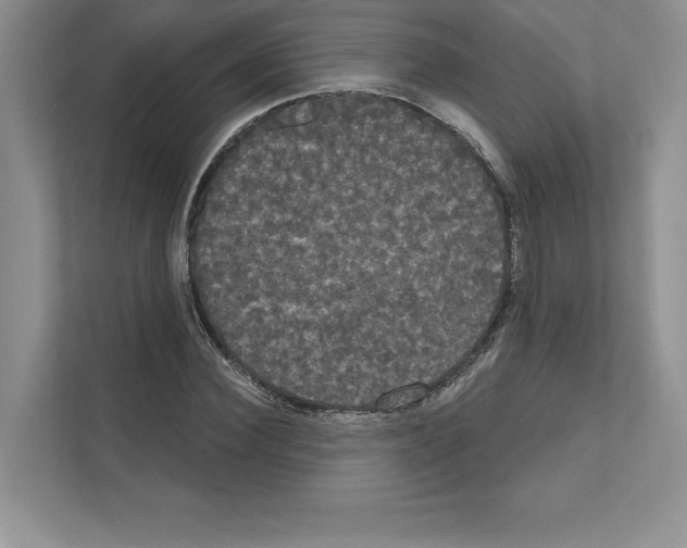 X0000111020924200907310928