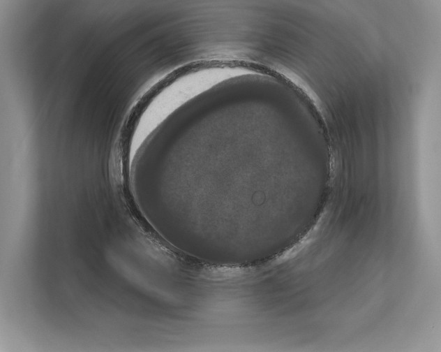 X0000111020925200907310928