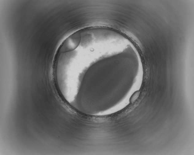 X0000111020928200907310928