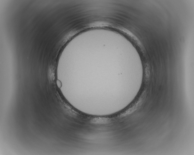 X0000111020929200907310928