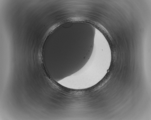 X0000111020930200907310928