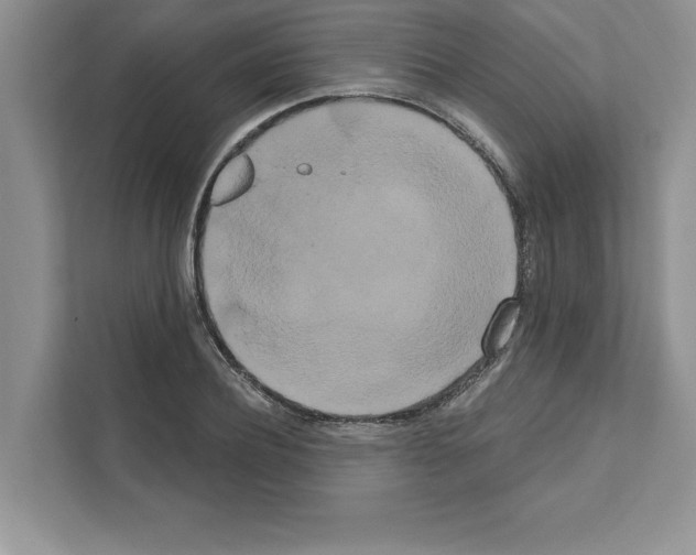 X0000111020932200907310929