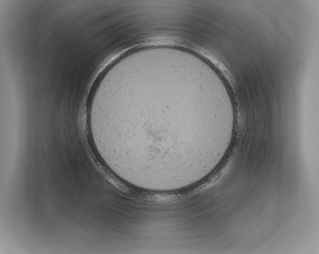 X0000111020933200907310929