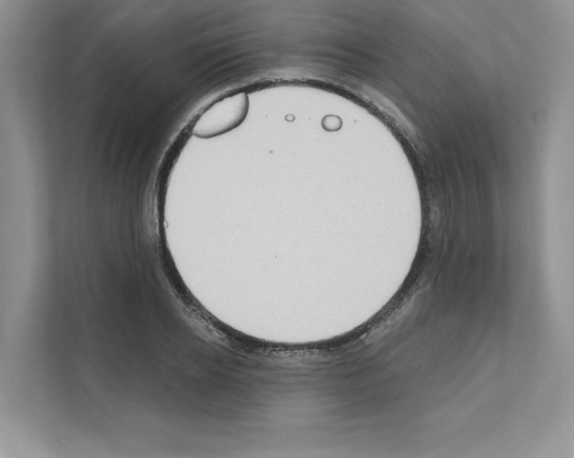 X0000111020934200907310929