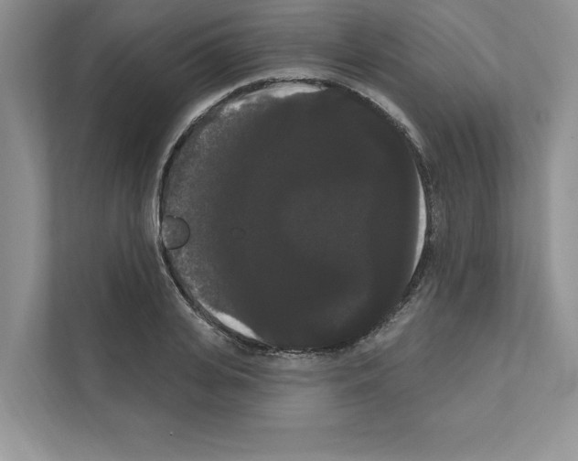 X0000111020935200907310929