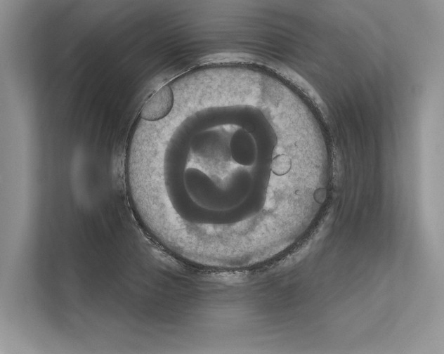 X0000111020937200907310929