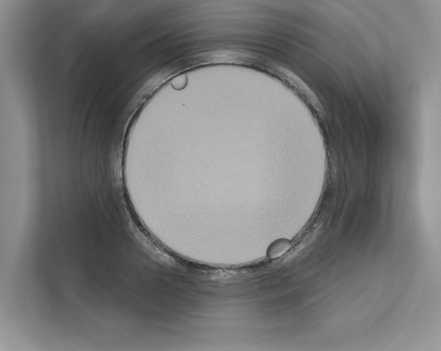 X0000111020938200907310929