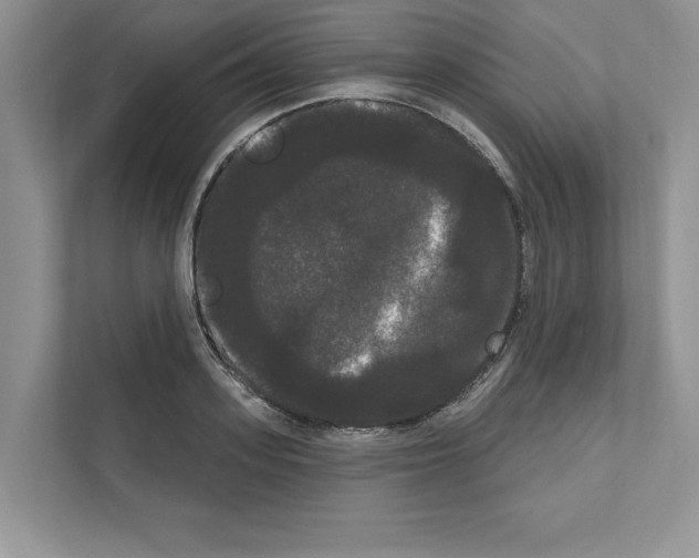 X0000111020939200907310929