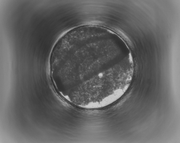 X0000111020940200907310929