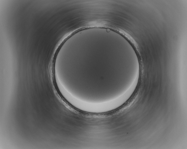 X0000111020941200907310929