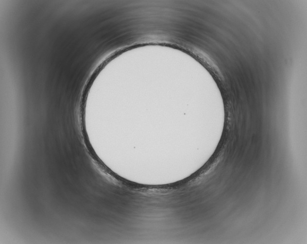 X0000111020942200907310929
