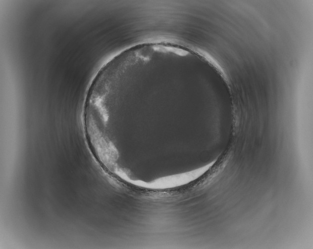 X0000111020943200907310929